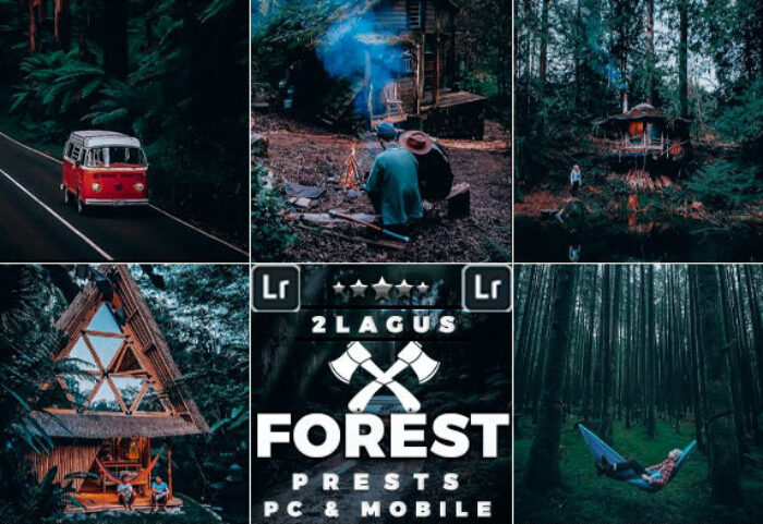 دانلود پریست لایت روم تم جنگل سبز Forest Moody Travel Presets for Mobile and Desktop Lightroom