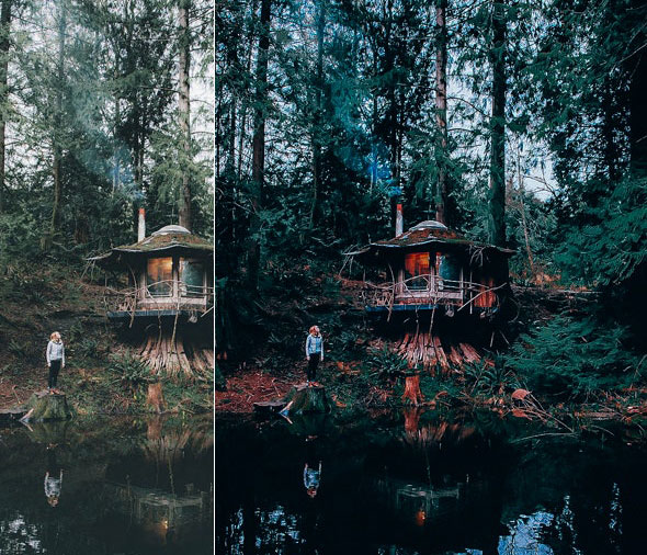 دانلود پریست لایت روم تم جنگل سبز Forest Moody Travel Presets for Mobile and Desktop Lightroom