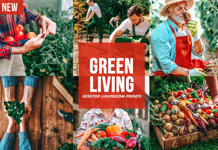 پریست لایت روم تم زندگی سبز Desktop Lightroom Presets GREEN
