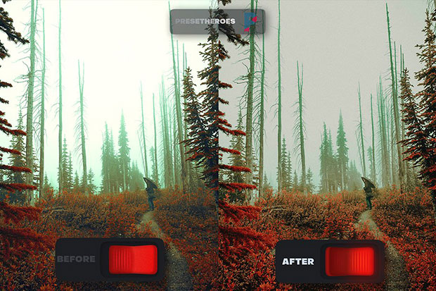 پریست لایت روم دسکتاپ و موبایل تم طبیعت رنگی Nomad Lightroom Preset v2 پریست لایت روم دسکتاپ و موبایل تم طبیعت رنگی Nomad Lightroom Preset v2
