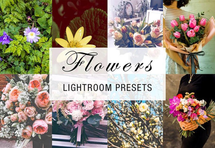 پریست لایت روم دسکتاپ و موبایل تم گل flowers lightroom presets