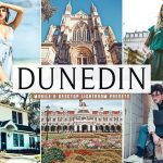 پریست لایت روم و کمرا راو و اکشن Dunedin Mobile And Desktop Lightroom Presets