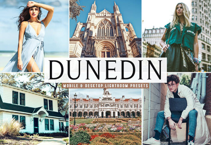 پریست لایت روم و کمرا راو و اکشن Dunedin Mobile And Desktop Lightroom Presets