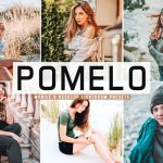 پریست لایت روم و کمرا راو و اکشن تم قرمز Pomelo Mobile And Desktop Lightroom Presets