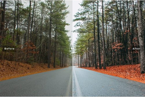 پریست لایت روم و کمرا راو و اکشن Western Cape Mobile And Desktop Lightroom Presets پریست لایت روم و کمرا راو و اکشن تم پالمرستون شمالی Palmerston North Lightroom Presets Pack