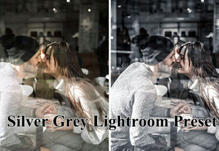 15 پریست لایت روم و کمرا راو نقره ای خاکستری Silver Grey Lightroom Preset