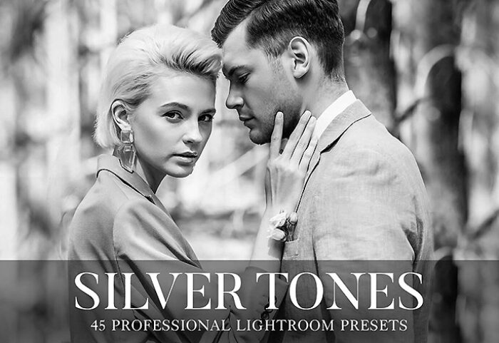 55 پریست لایت روم و براش لایتروم تم نقره ای Silver Tones Presets Lightroom
