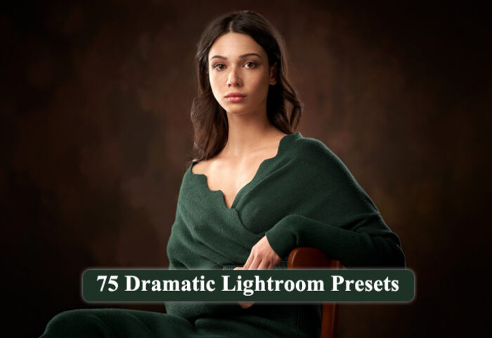 75 پریست لایت روم سبک عاشقانه Dramatic Lightroom Presets