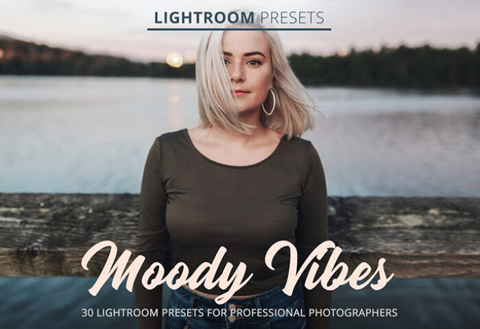 دانلود 40 پریست لایت روم و براش لایتروم Moody Vibes Presets