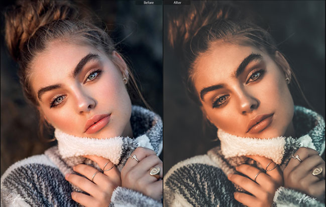 63 پریست لایت روم دسکتاپ و موبایل حرفه ای پرتره Premium Portrait Lightroom Bundle