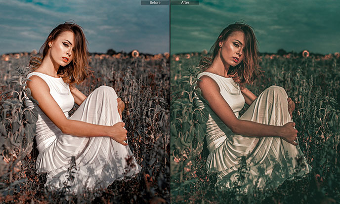 63 پریست لایت روم دسکتاپ و موبایل حرفه ای پرتره Premium Portrait Lightroom Bundle