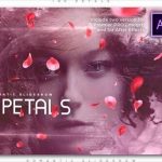 پروژه پریمیر اسلایدشو افکت جوهر و گلبرگ Ink Petals Romantic Slideshow