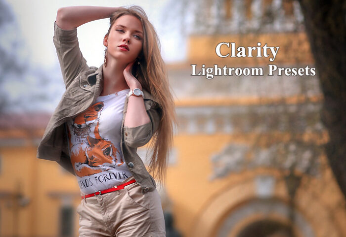 پریست لایت روم دسکتاپ تم اچ دی آر Clarity Lightroom Presets
