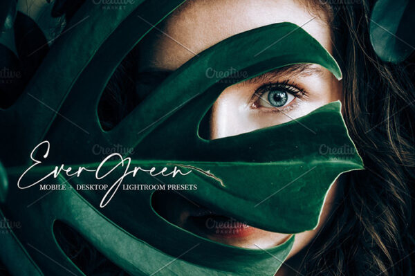 پریست لایت روم دسکتاپ و موبایل تم سبز Evergreen Lightroom Presets
