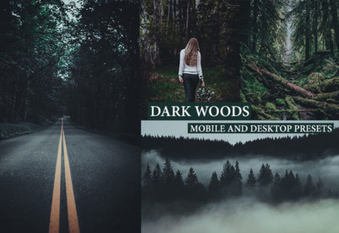 پریست لایت روم دسکتاپ و موبایل سینمایی Cinematic Dark Woods Lightroom Presets