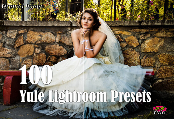 100 افکت رنگی لایت روم حرفه ای دسکتاپ Yule Lightroom Presets