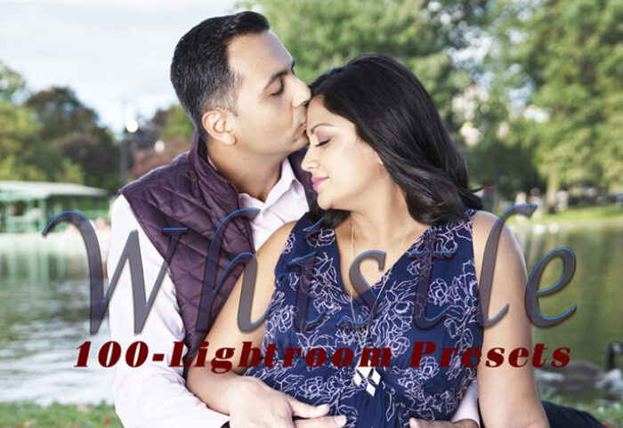 100 افکت رنگی لایت روم دسکتاپ Whistle Lightroom Presets