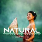 100 پریست لایت روم دسکتاپ تم طبیعت Natural Lightroom Presets