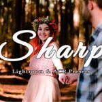 100 پریست لایت روم و کمرا راو تم شارپ Sharp Lightroom and ACR Presets