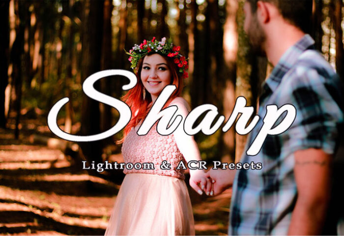 100 پریست لایت روم و کمرا راو تم شارپ Sharp Lightroom and ACR Presets