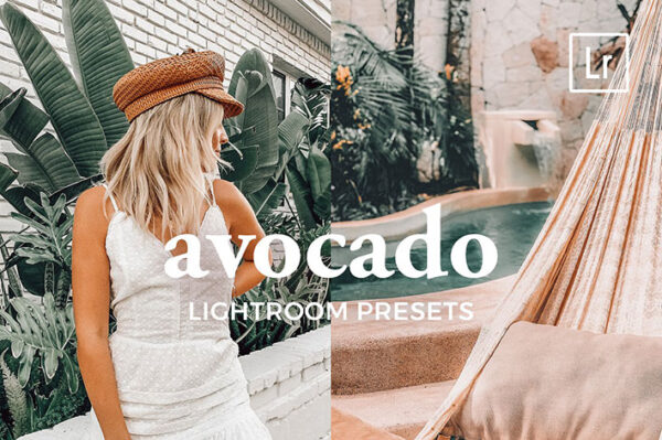 4 پریست لایت روم دسکتاپ و موبایل تم آوکادو Lightroom Presets AVOCADO