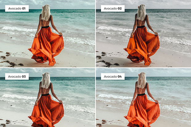4 پریست لایت روم دسکتاپ و موبایل تم آوکادو Lightroom Presets AVOCADO 4 پریست لایت روم دسکتاپ و موبایل تم آوکادو Lightroom Presets AVOCADO