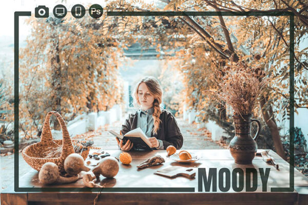 70 پریست لایت روم و کمرا راو و لات رنگی Moody Color Correction Bundle