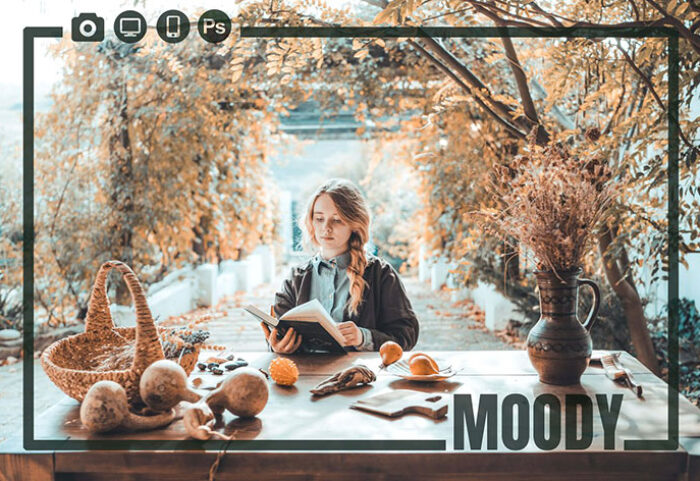 70 پریست لایت روم و کمرا راو و لات رنگی Moody Color Correction Bundle