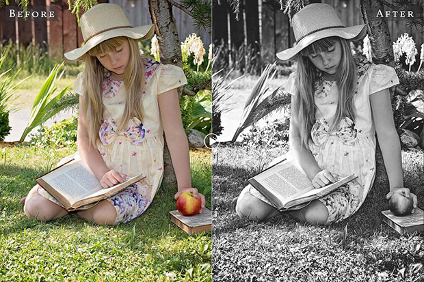 34 پریست لایت روم و پریست کمرا راو تم باغ Garden Lightroom Presets