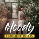 دانلود 25 پریست لایت روم تم رنگی Moody Lightroom Presets Bundle
