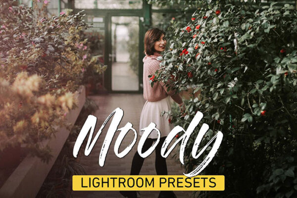 دانلود 25 پریست لایت روم تم رنگی Moody Lightroom Presets Bundle