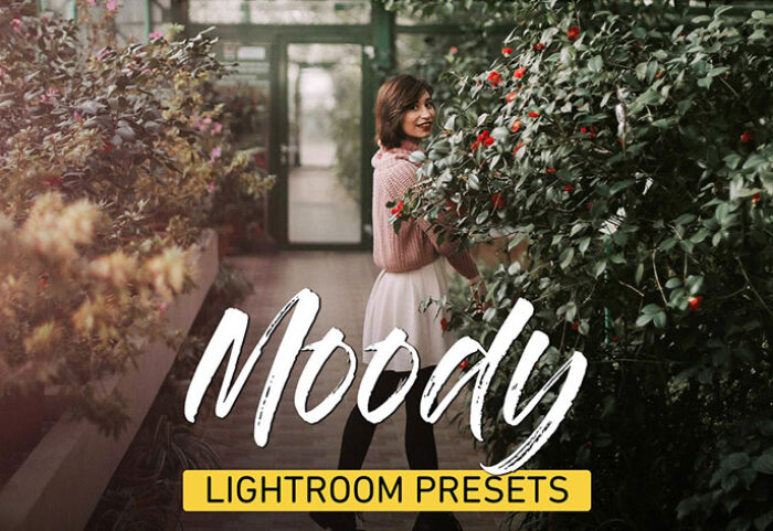 دانلود 25 پریست لایت روم تم رنگی Moody Lightroom Presets Bundle