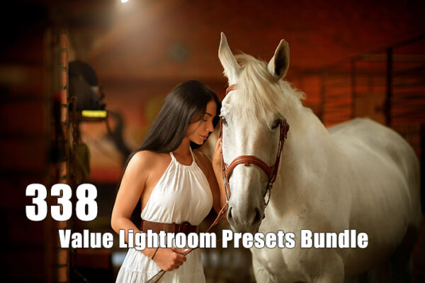 دانلود 338 پریست لایت روم حرفه ای Value Lightroom Presets Bundle