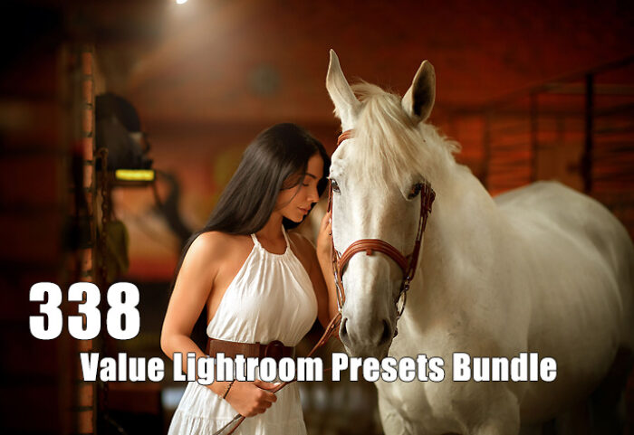 دانلود 338 پریست لایت روم حرفه ای Value Lightroom Presets Bundle