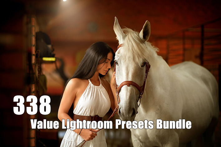 دانلود 338 پریست لایت روم حرفه ای Value Lightroom Presets Bundle دانلود 338 پریست لایت روم حرفه ای Value Lightroom Presets Bundle