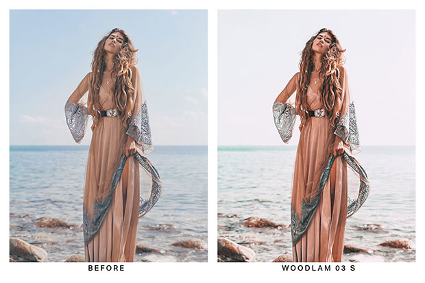 پریست لایت روم حرفه ای دسکتاپ و موبایل و لات رنگی Boho Chic Lightroom Presets and LUTs