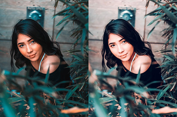 پریست لایت روم حرفه ای رتوش پرتره My Perfect Makeup Lightroom Desktop Presets