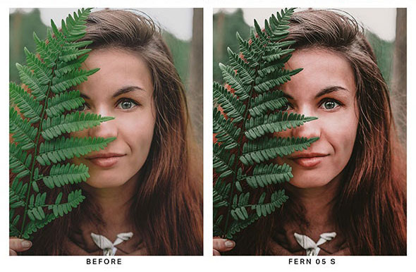 پریست لایت روم حرفه ای و لات رنگی Emerald Rose Lightroom Presets and LUTs