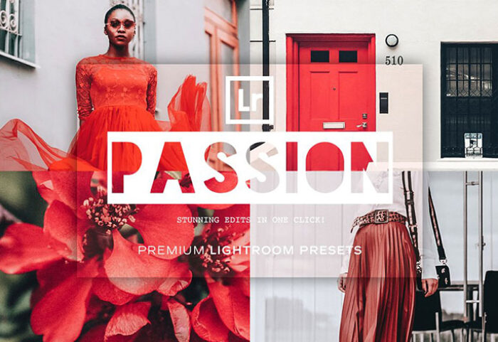 پریست لایت روم دسکتاپ و موبایل تم احساس عمیق Passion Lightroom Presets