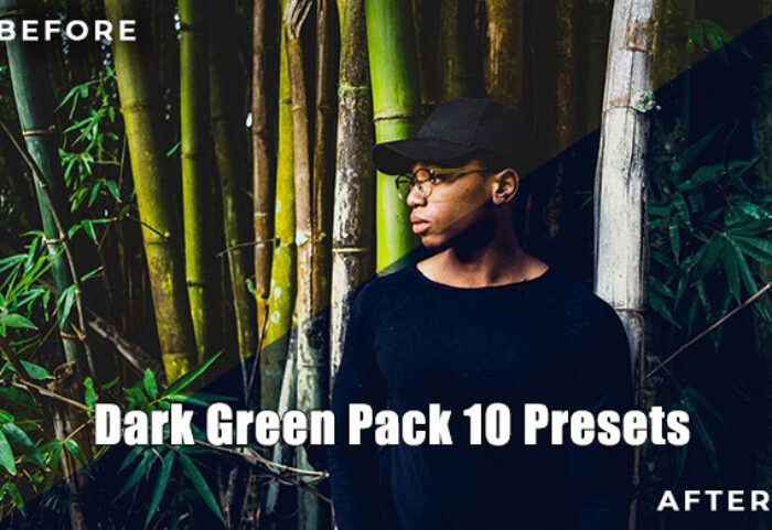 پریست لایت روم دسکتاپ و موبایل تم سبز تیره Dark Green Pack 10 Presets