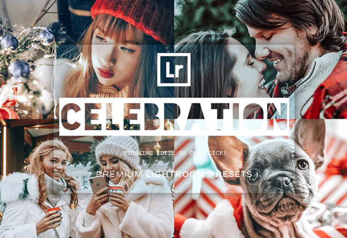 پریست لایت روم دسکتاپ و موبایل تم سلبریتی Celebration Lightroom Presets