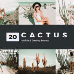 پریست لایت روم و پریست کمرا راو و لات رنگی کاکتوس Cactus Lightroom Presets and LUTs (1)