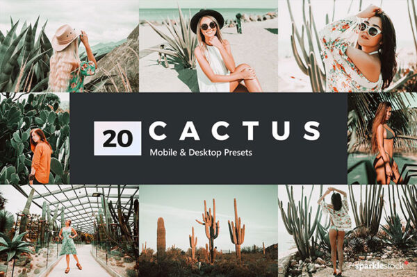 پریست لایت روم و پریست کمرا راو و لات رنگی کاکتوس Cactus Lightroom Presets and LUTs (1)