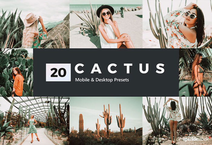 پریست لایت روم و پریست کمرا راو و لات رنگی کاکتوس Cactus Lightroom Presets and LUTs (1)