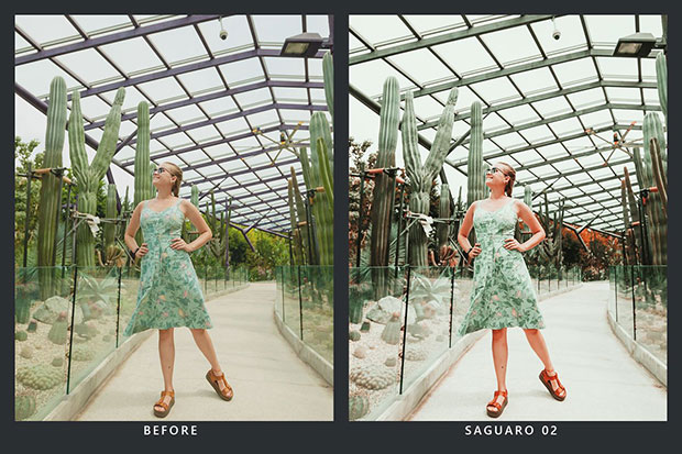 پریست لایت روم و پریست کمرا راو و لات رنگی کاکتوس Cactus Lightroom Presets and LUTs پریست لایت روم و پریست کمرا راو و لات رنگی کاکتوس Cactus Lightroom Presets and LUTs