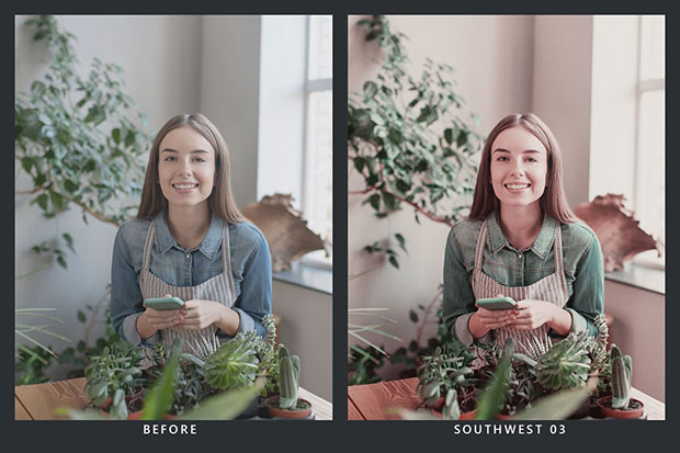 پریست لایت روم و پریست کمرا راو و لات رنگی کاکتوس Cactus Lightroom Presets and LUTs پریست لایت روم و پریست کمرا راو و لات رنگی کاکتوس Cactus Lightroom Presets and LUTs