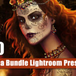 پکیج 60 پریست لایت روم حرفه ای Mega Bundle Lightroom Presets