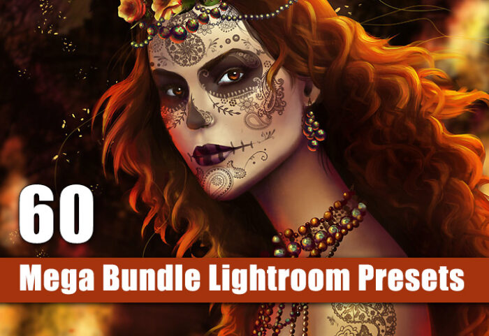 پکیج 60 پریست لایت روم حرفه ای Mega Bundle Lightroom Presets