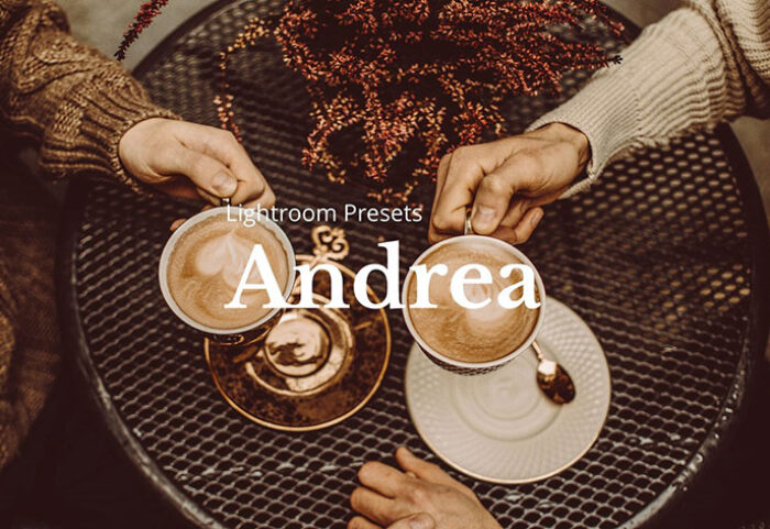 10 پریست لایت روم حرفه ای دسکتاپ Andrea Lightroom Presets
