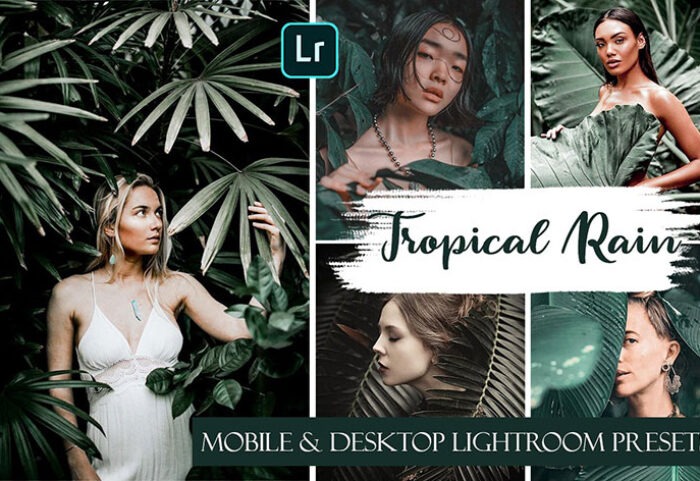 20 پریست لایت روم حرفه ای باران گرمسیری Tropical Rain Ligthroom Mobile & Desktop Presets